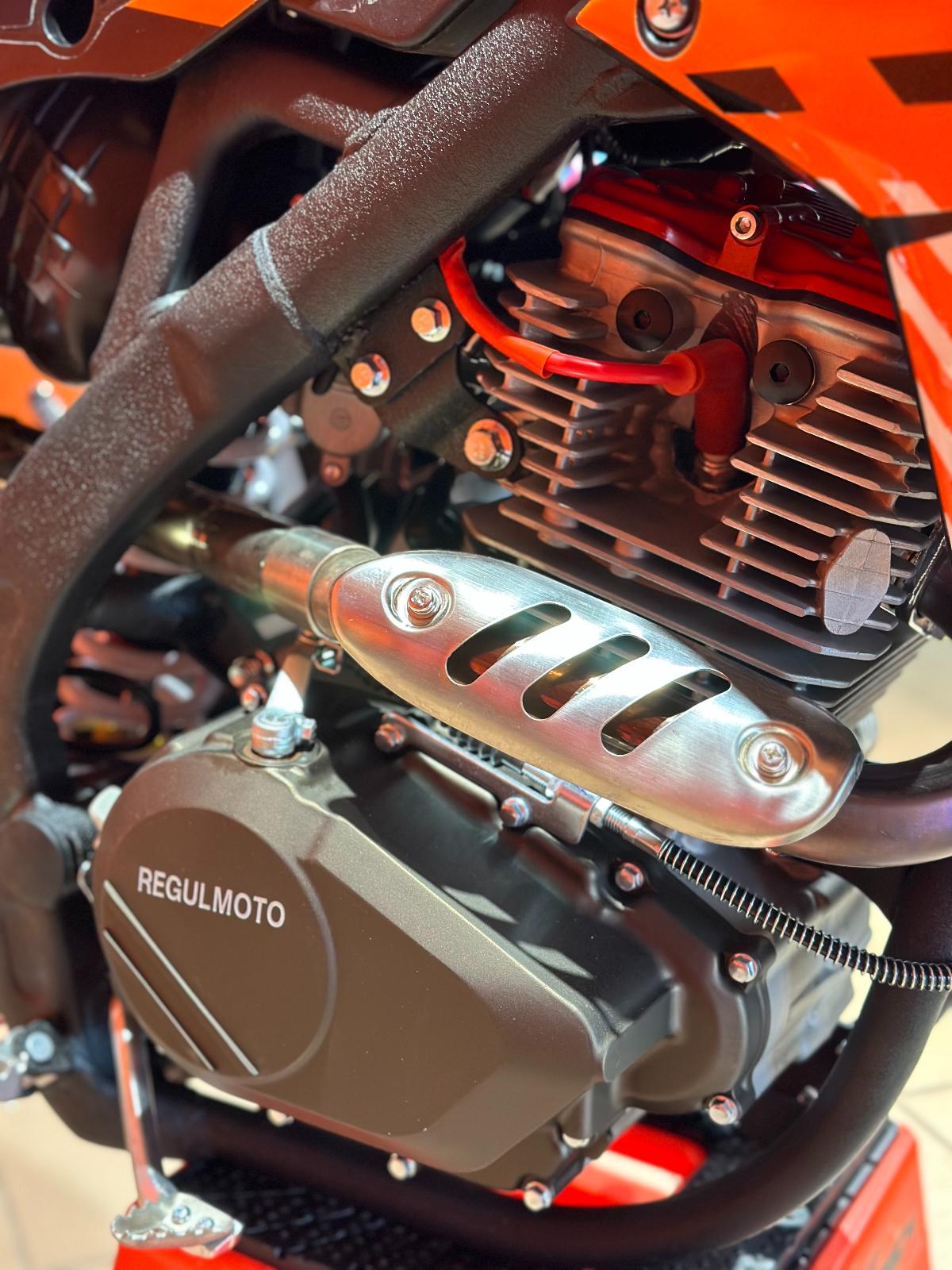 картинка Мотоцикл Regulmoto ZR PR 300 4 valves 5 gear | Moped24