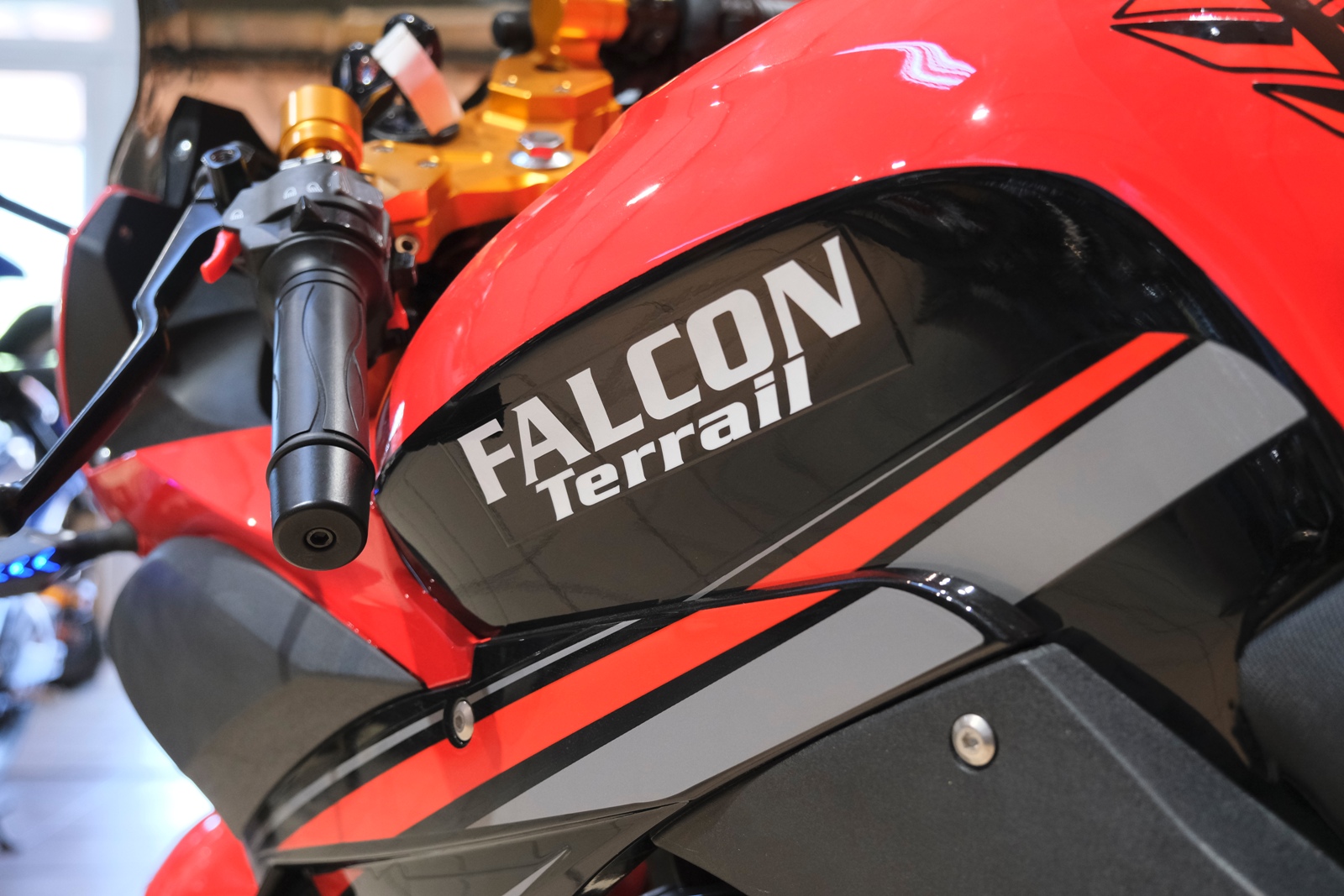 картинка Мотоцикл МОТОМИР FALCON TERRAIL 250 | Moped24
