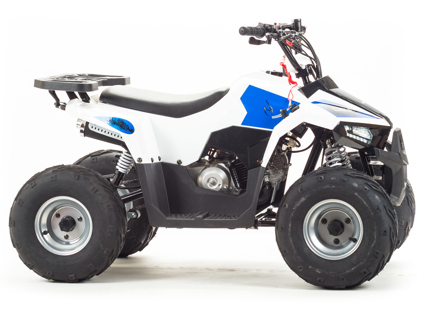 картинка Квадроцикл MotoLand 110 EAGLE | Moped24
