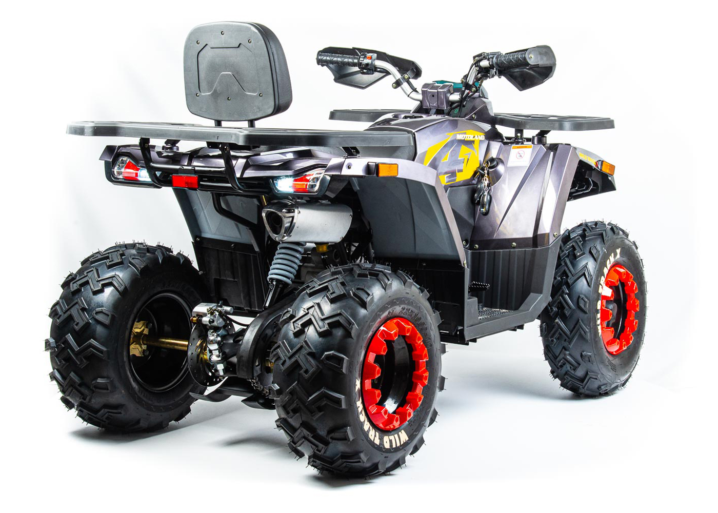 картинка Квадроцикл Motoland 200 WILD TRACK X | Moped24