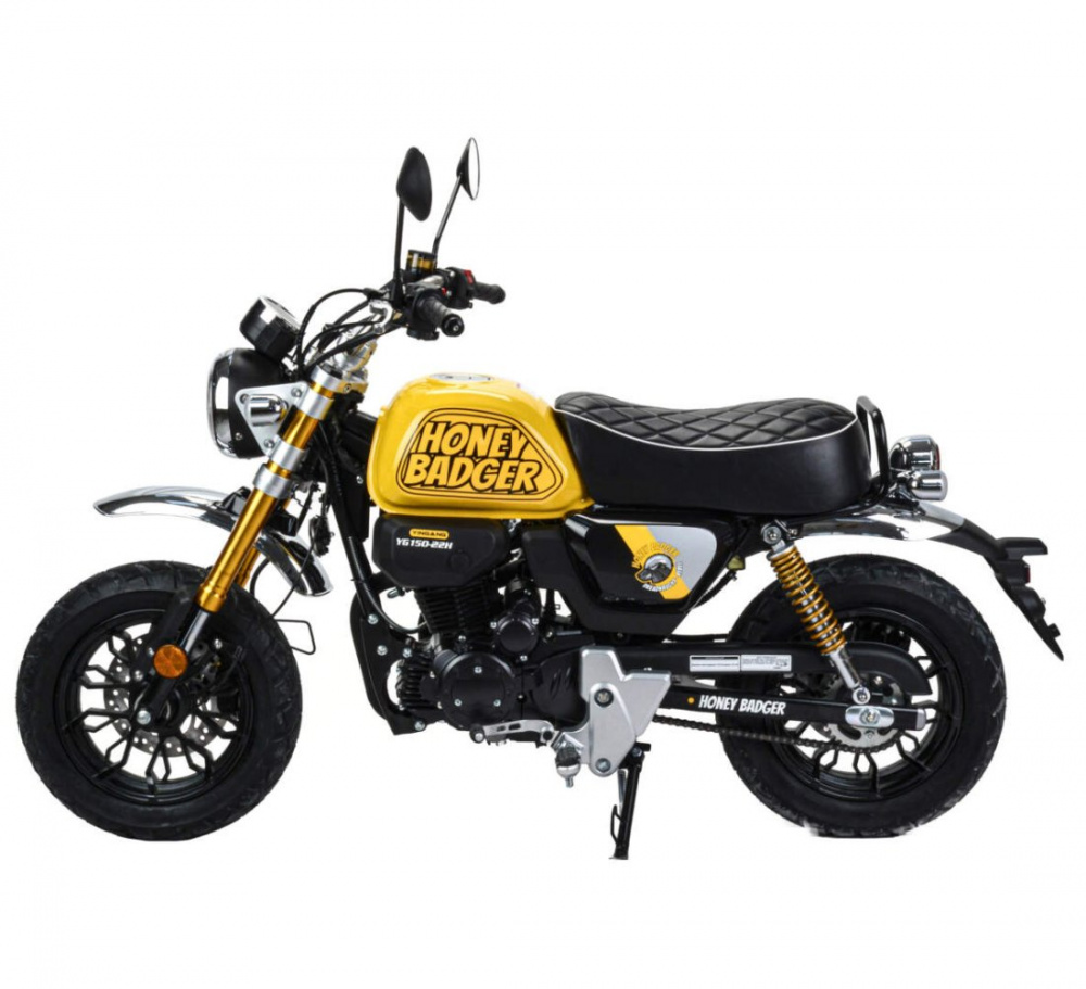 картинка Питбайк Motoland Monkey 150 | Moped24